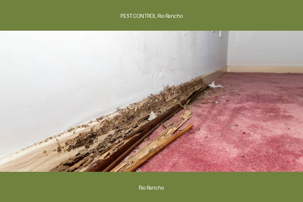 PEST CONTROL Rio Rancho